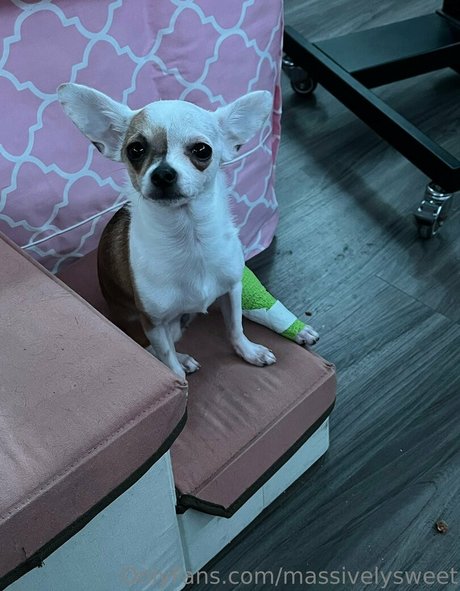 two onlyfans hot nude galleries