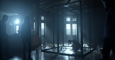 chicks with dicks onlyfans porn images