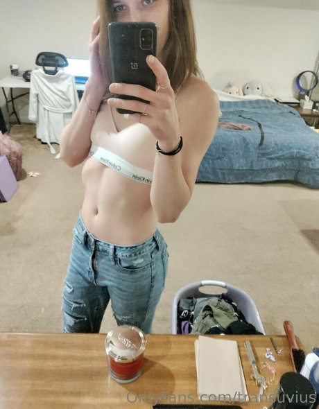 transuvius model img