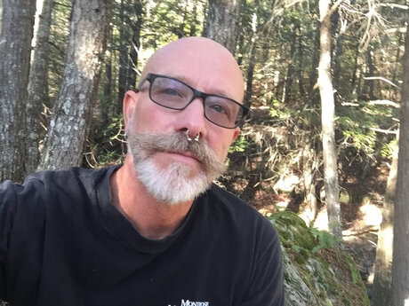 dviles pornstar pretty archive