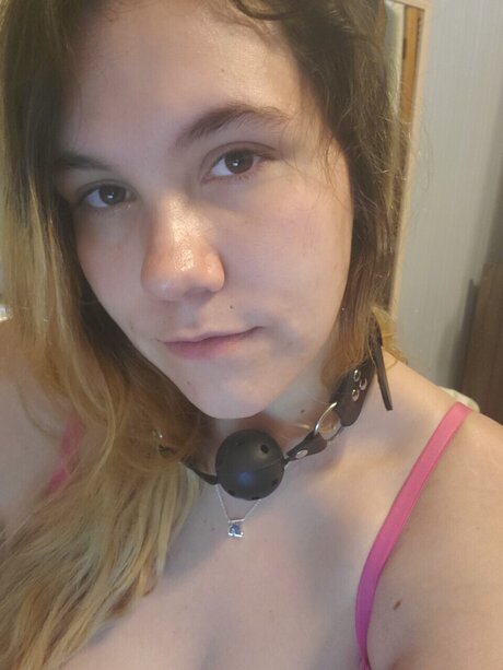 Good Girl Celeste Cat star pretty picture