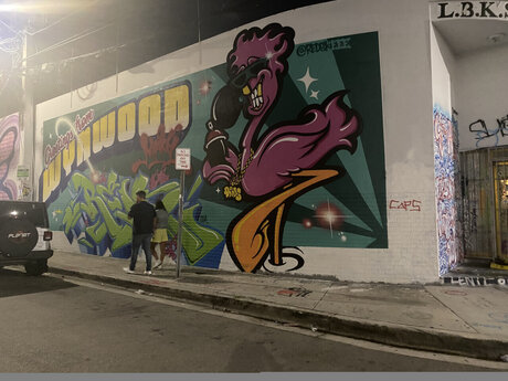 Milli Mystic star perfect images