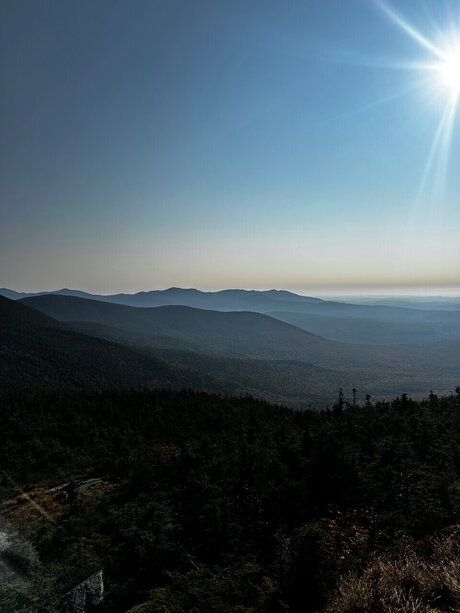 ellie_ exclusive pornstar archive