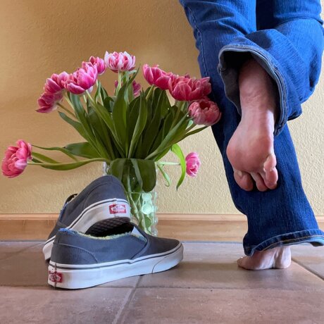 Queen of Vans model pretty gallery