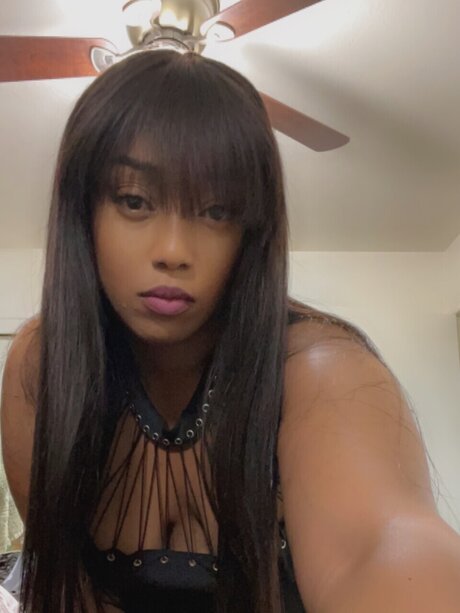 StacyQ pornstar top images