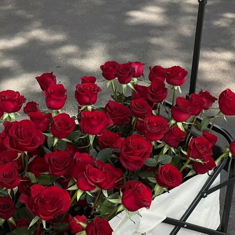 RedJeans sexy model pictures