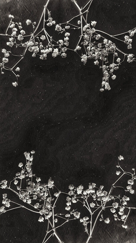 Cendre_ sex actress image