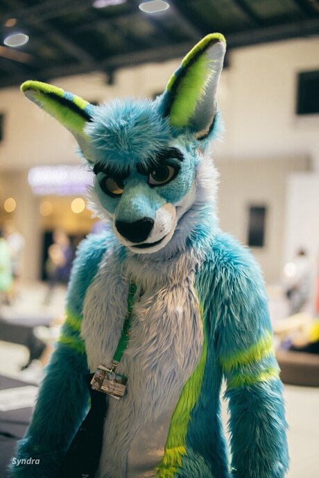 TechRoo and Zoomy nudes actress pics