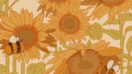 Jay Sapphire model top photo