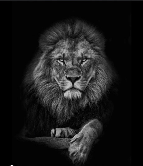 Cachondo19 naked actress pics