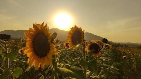 big areolas onlyfans pretty picture