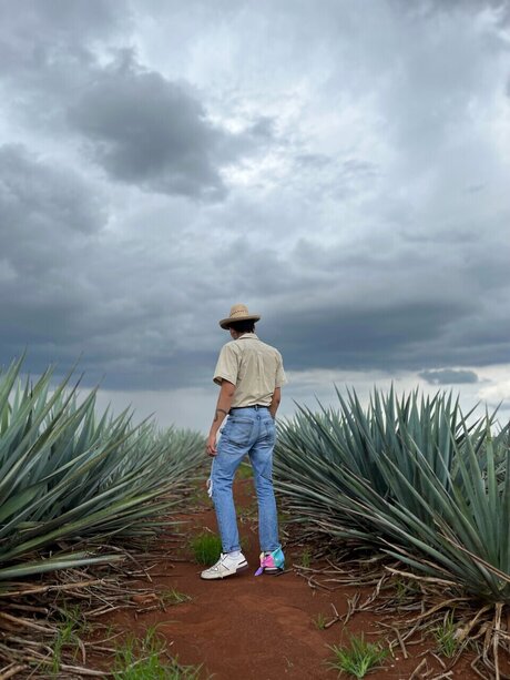 Aaron Abbey Figueroa model high quality picture