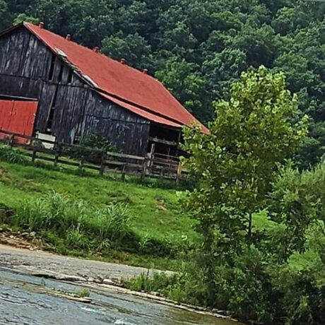 Above average hot actress picture