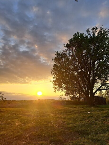 FunWFreckles pornstar hd gallery