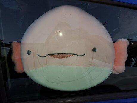 Achu Blesumi exclusive pornstar pictures