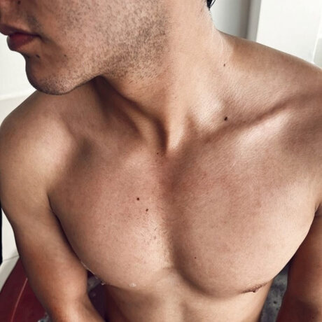 V ctor Santoro star pornographic images