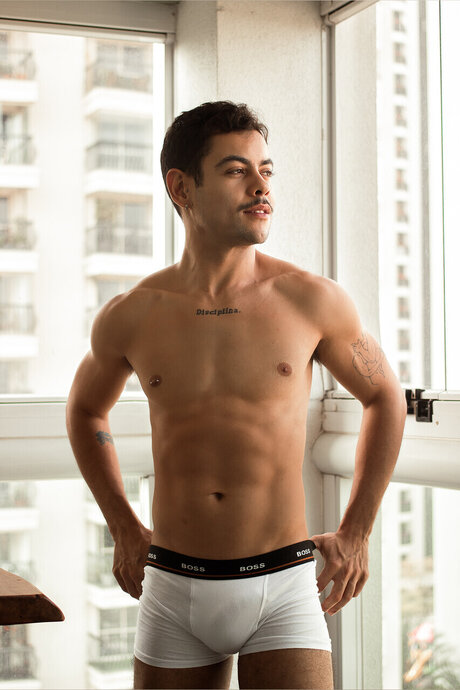 Yakko VIP Collection best model archive