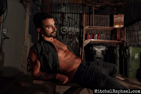 Denver Spruce free model pics