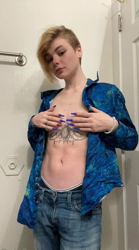 pastel vixen03 star adult images