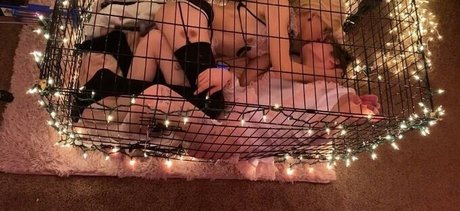 Cassie Coyote nudes star img