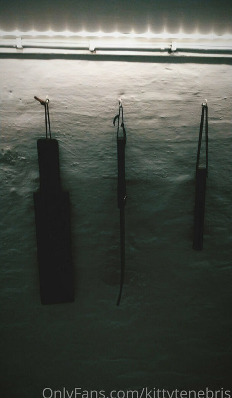 bbw blowjob onlyfans hot sex gallery