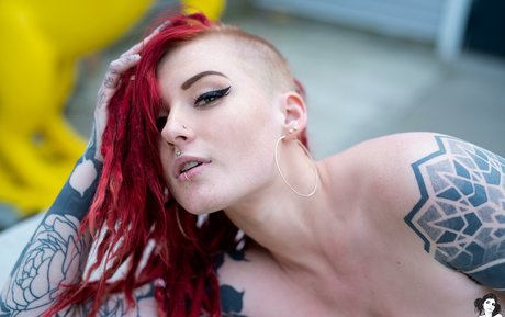 Sierhaus naked star photos