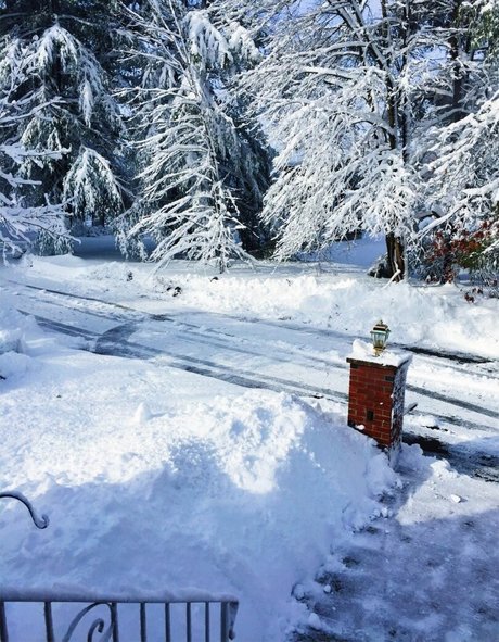 Lizzy Decologero hot pornstar images