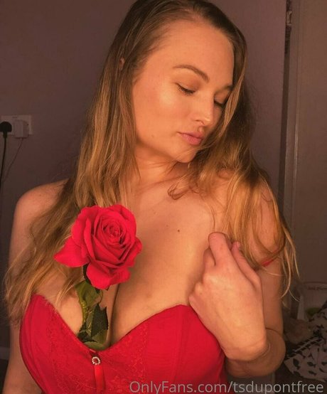 tsdupontfree pornstar xxx galleries