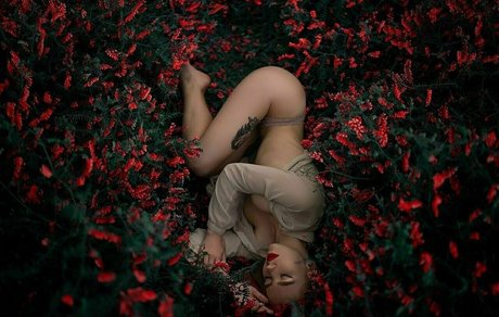 yanafoxy free star best gallery