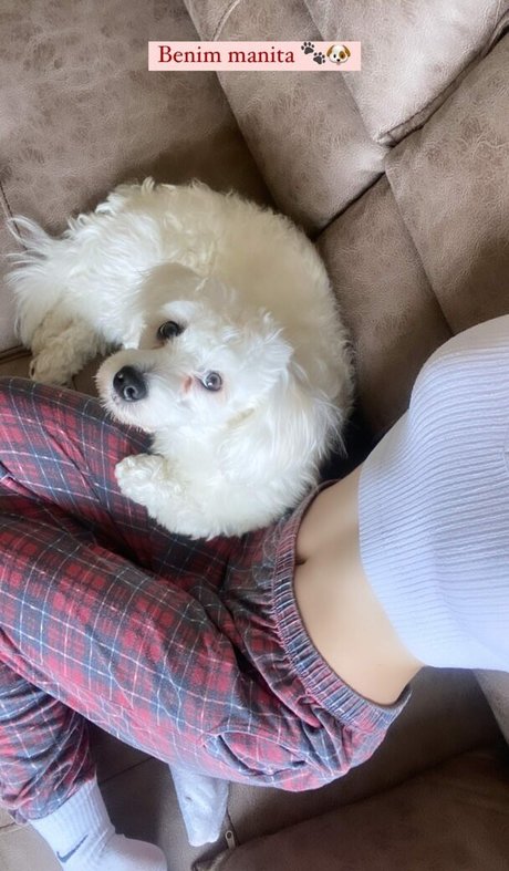 Melike Saygin sex actress galleries