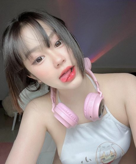 Moddum star free photo