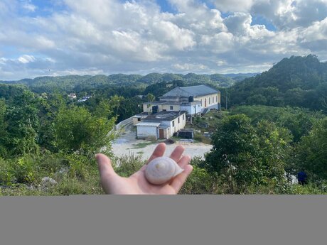 _h t g mpr_ pornographic model images