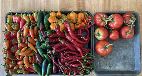 GardenPapi pornstar pretty archive