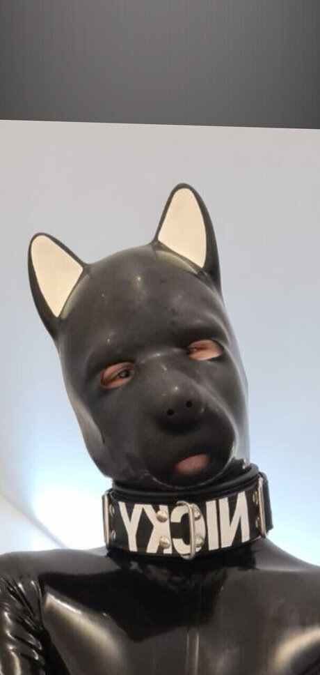 PupNicky star erotic pictures