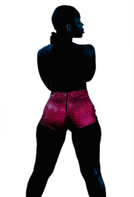 Blue Chicken Max hd model img