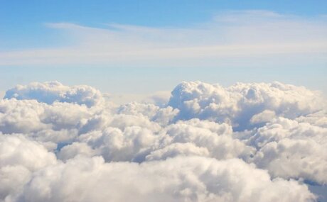 Stella Francis TS_ star porn photo