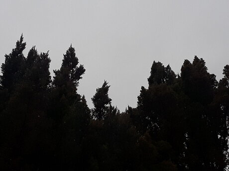 ChemicalXBoy model hot pic