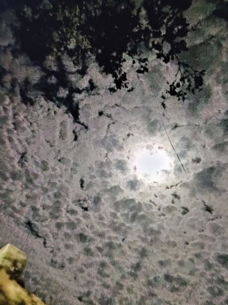 Hellie_ star porn image