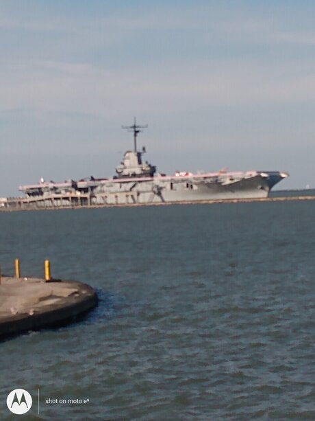 Robertjr beautiful pornstar galleries