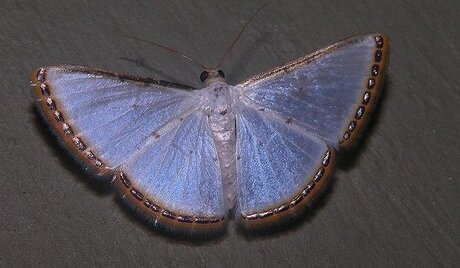 face onlyfans beautiful naked pic