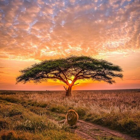 King Rah22_ star nudes picture