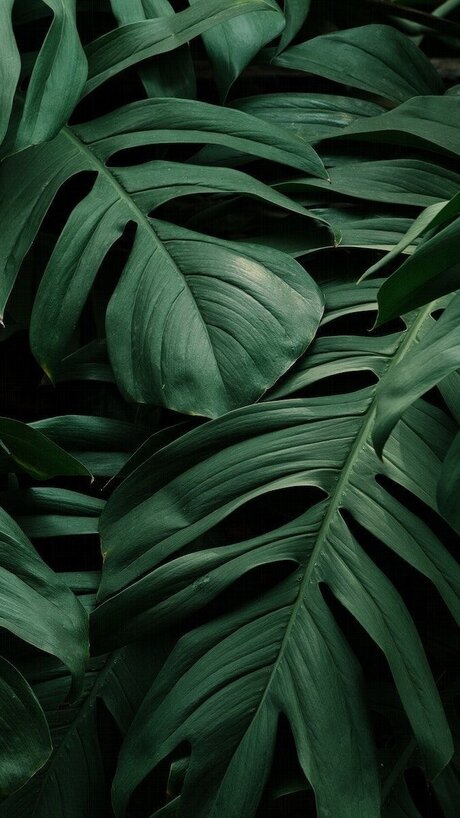 Britney_ model nice pic