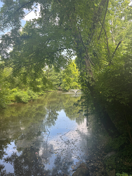 flat chested onlyfans nude img