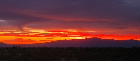 Matthew Alequin free actress pic