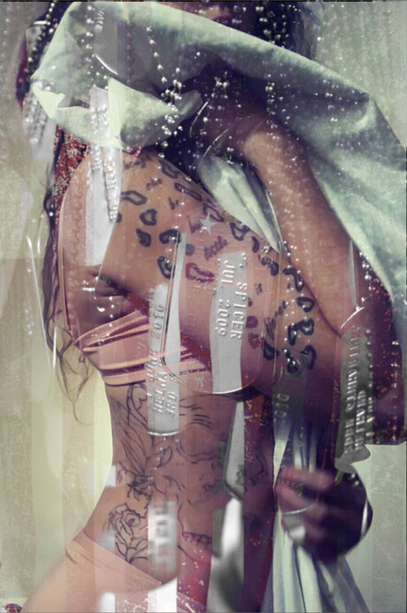 Dia mondRose star perfect photos