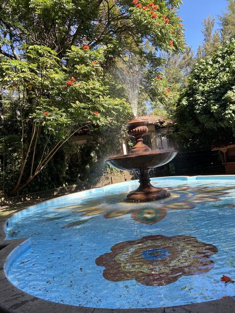 Maleficent adult model images