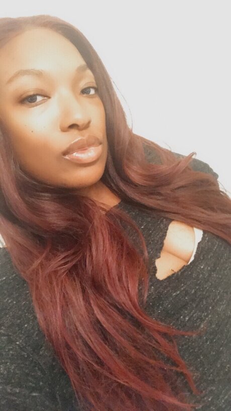 L P_ free star picture