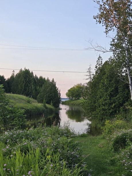 RocketCam_ pornstar exclusive pictures