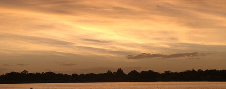 Charli Lane model beautiful picture