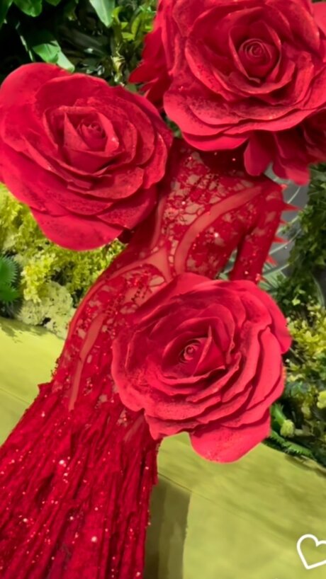 Honor best star gallery